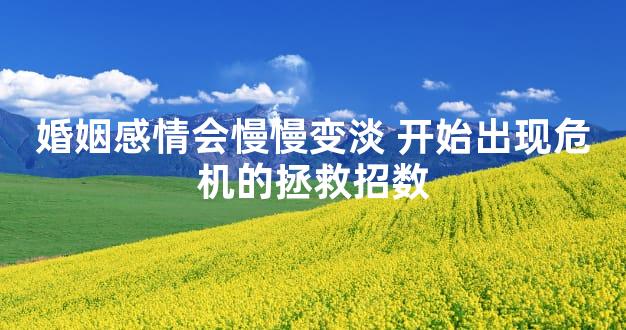 婚姻感情会慢慢变淡 开始出现危机的拯救招数